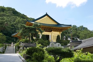 [장보배의 24번의 계절]17. 백로_서울 길을 걷다