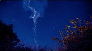 [진우 스님의 Weekly 선명상] 37. 중생의 마음이란