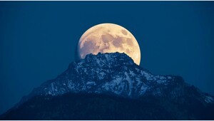 [총무원장 진우 스님의 Weekly 선명상] 40. 고통은 어디서 오는가