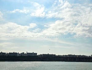 [장보배의 24번의 계절] 20. 상강_한강 길을 걷다