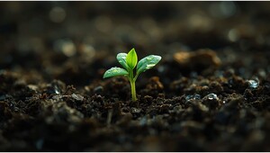 [총무원장 진우 스님의 Weekly 선명상] 43. 마음이 편안해야